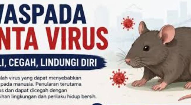 Waspada Hantavirus. Foto: ist