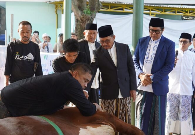 
 Wali Kota Tangerang Sachrudin dan Wakil Wali Kota Tangerang Maryono saat Menyaksikan Pemotongan Hewan Qurban. Foto: ist