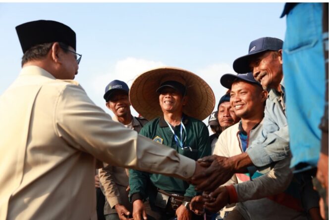
 Presiden Prabowo Subianto saat Panen Raya Serentak yang dipusatkan di Malang, Jawa Timur. Foto: Ist