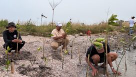 Koordinator Koalisi Aktivis Lingkungan Hidup Tangerang (Kalung), Ade Yunus saat tanam ribuan Mangrove di Kawasan Hutan Lindung Pesisir Utara Tangerang. Foto: TangerangPos 