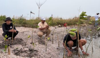 Koordinator Koalisi Aktivis Lingkungan Hidup Tangerang (Kalung), Ade Yunus saat tanam ribuan Mangrove di Kawasan Hutan Lindung Pesisir Utara Tangerang. Foto: TangerangPos 