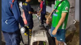 Petugas BPBD Kota Tangerang berhasil mengamankan seekor anjing liar di kawasan SPBU Pinangsia, Kelurahan Panunggangan Barat, Kecamatan Cibodas, Kota Tangerang. Foto: Ist