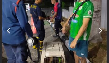 Petugas BPBD Kota Tangerang berhasil mengamankan seekor anjing liar di kawasan SPBU Pinangsia, Kelurahan Panunggangan Barat, Kecamatan Cibodas, Kota Tangerang. Foto: Ist