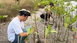 Koalisi Aktivis Lingkungan Hidup Tangerang (Kalung) saat Menggelar Aksi Penanaman Mangrove di Kawasan Hutan Lindung Mangrove, Pesisir Utara Tangerang. Foto: TangerangPos 