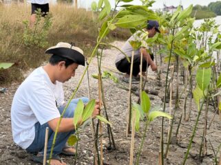 Koalisi Aktivis Lingkungan Hidup Tangerang (Kalung) saat Menggelar Aksi Penanaman Mangrove di Kawasan Hutan Lindung Mangrove, Pesisir Utara Tangerang. Foto: TangerangPos 