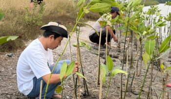 Koalisi Aktivis Lingkungan Hidup Tangerang (Kalung) saat Menggelar Aksi Penanaman Mangrove di Kawasan Hutan Lindung Mangrove, Pesisir Utara Tangerang. Foto: TangerangPos 