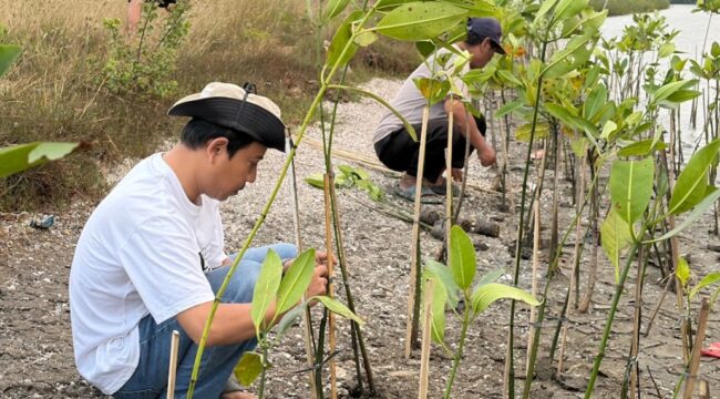 Koalisi Aktivis Lingkungan Hidup Tangerang (Kalung) saat Menggelar Aksi Penanaman Mangrove di Kawasan Hutan Lindung Mangrove, Pesisir Utara Tangerang. Foto: TangerangPos 