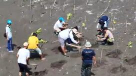 Koalisi Aktivis Lingkungan Hidup Tangerang (Kalung) Massifkan Penanaman Mangrove di Kawasan Hutan Lindung Pesisir Utara Tangerang. Foto: TangerangPos 