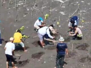 Koalisi Aktivis Lingkungan Hidup Tangerang (Kalung) Massifkan Penanaman Mangrove di Kawasan Hutan Lindung Pesisir Utara Tangerang. Foto: TangerangPos 