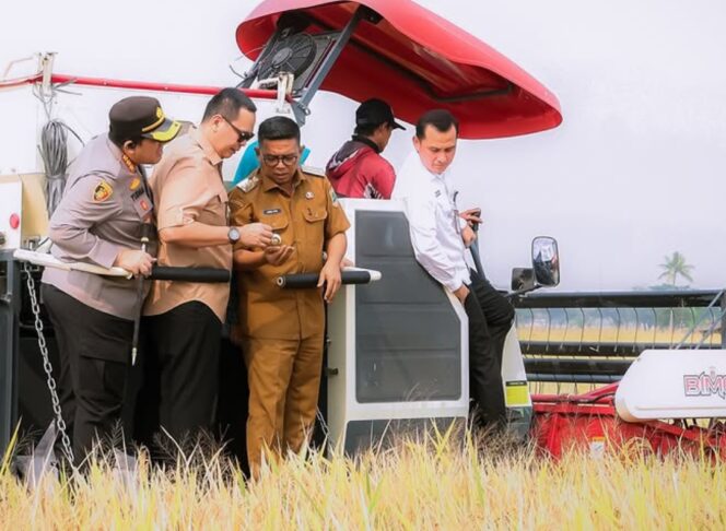
 Gubernur Andra Soni  Didampingi Wali Kota Serang Budi Rustandi saat menghadiri acara panen dengan menggunakan teknologi PM-AAS di Kelurahan Kasunyatan, Kecamatan Kasemen, Kota Serang. Foto: Awal Rijal 