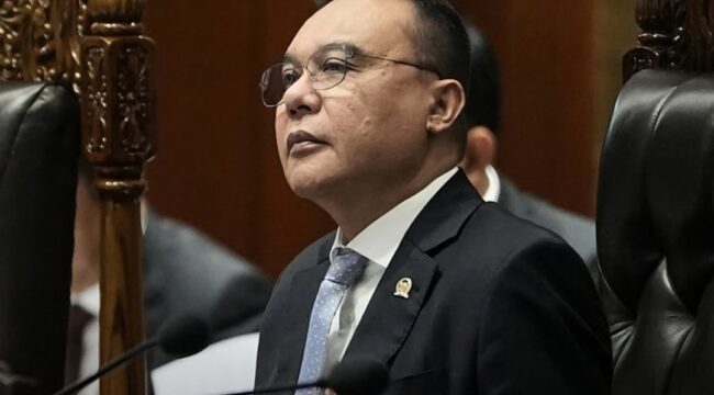 Wakil Ketua DPR RI Sufmi Dasco Ahmad. Foto: Ist