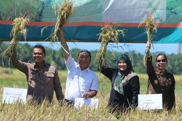 
 Tahun 2023, Pemprov Banten Siapkan Cadangan Pangan 1.348 Ton Beras