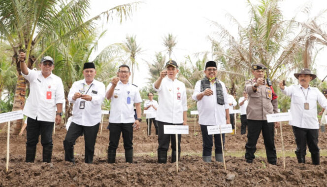 
 Pj. Bupati Tangerang Andi Ony saat Menanam Cabai di Desa Kohod Kecamatan Pakuhaji. Foto: Ist