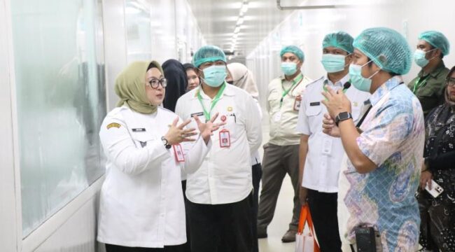 Wakil Bupati Tangerang Intan Nurul Hikmah saat menghadiri dan membuka Workshop Kepatuhan Perusahaan Dalam Pengelolaan Sampah yang diselenggarakan PT. Japfa Food Indonesia. Foto: Ist